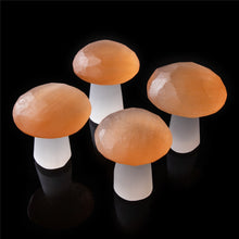 Load image into Gallery viewer, Fairy Mushroom Stone
